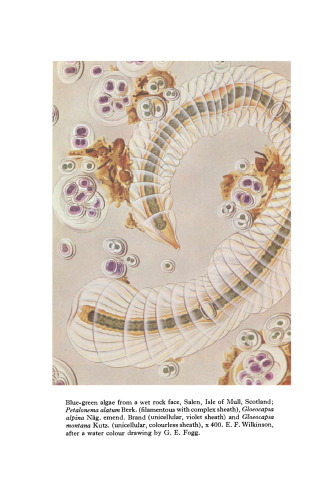 The Blue-green Algae