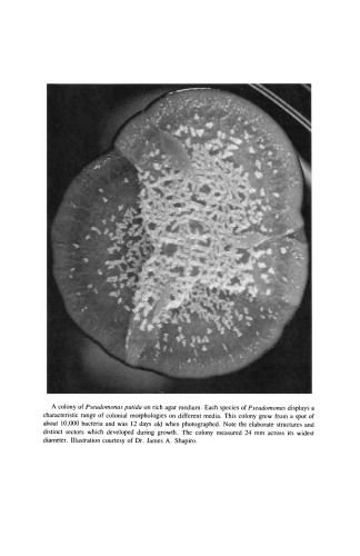 The Biology of Pseudomonas