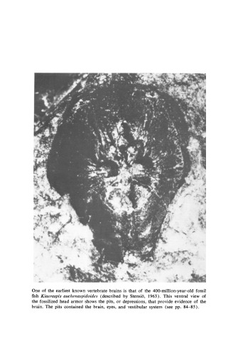 Evolution of the Brain and Intelligence