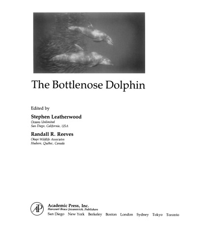 The Bottlenose Dolphin