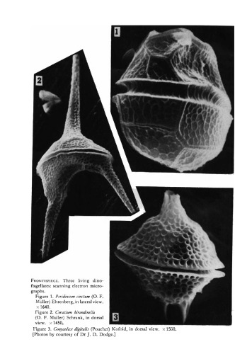 Fossil and Living Dinoflagellates