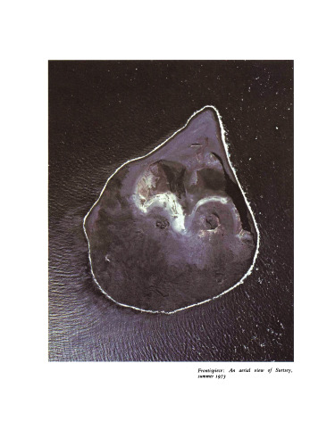 Surtsey. Evolution of Life on a Volcanic Island