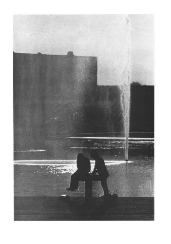 Handbook of Urban Landscape