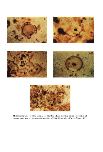 Current Aspects of Exobiology