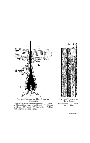 Hair-Dyes and Hair-Dyeing Chemistry and Technique