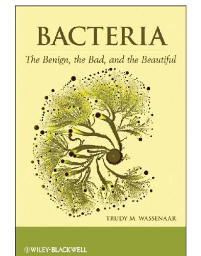Bacteria: The Benign, the Bad, and the Beautiful