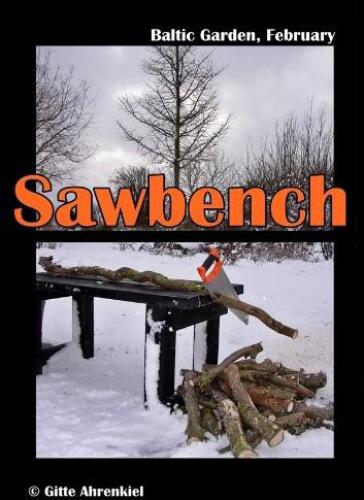 Baltic Garden, February: Saw bench