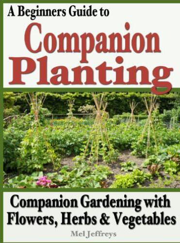A Beginners Guide to Companion Planting: Companion Gardening with Flowers, Herbs & Vegetables