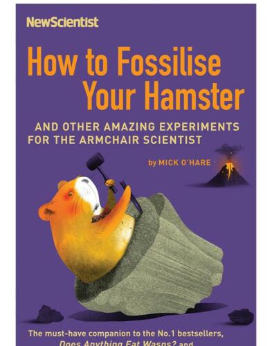 How To Fossilise Your Hamster: And Other Amazing Experiments For The Armchair Scientist