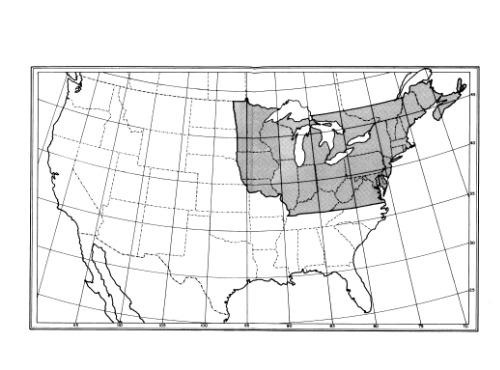 Manual of Vascular Plants of Northeastern United States and Adjacent Canada