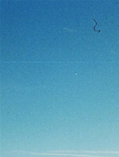 The Dash Diet: Lower Blood Pressure, Lose Weight, And Feel Great