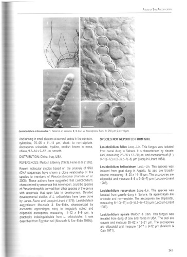 Atlas of soil ascomycetes (part 2)