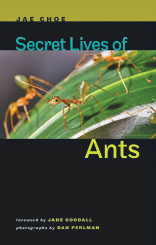 Secret Lives of Ants