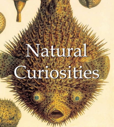 Natural Curiousities