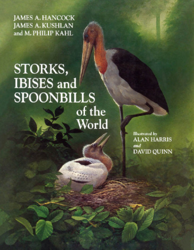 Storks, Ibises, and Spoonbills of the World