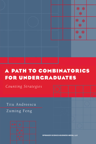 A Path to Combinatorics for Undergraduates: Counting Strategies