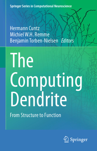 The Computing Dendrite: From Structure to Function