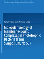 Molecular Biology of Membrane-Bound Complexes in Phototrophic Bacteria