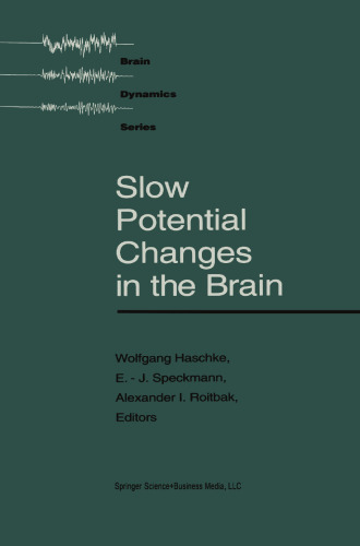 Slow Potential Changes in the Brain