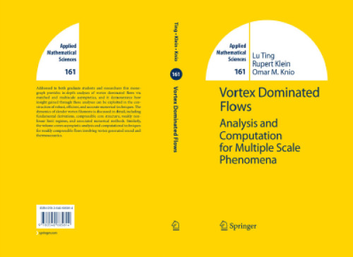 Vortex dominated flows: analysis and computation for multiple scale phenomena