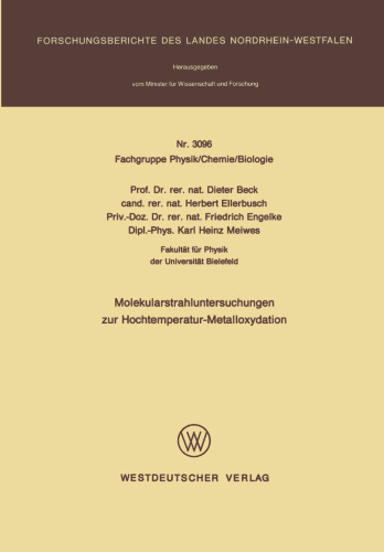 Molekularstrahluntersuchungen zur Hochtemperatur- Metalloxydation