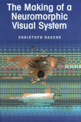 The Making of a Neuromorphic Visual System