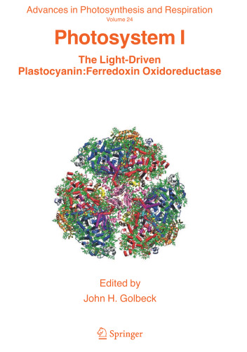 Photosystem I: The Light-Driven Plastocyanin:Ferredoxin Oxidoreductase