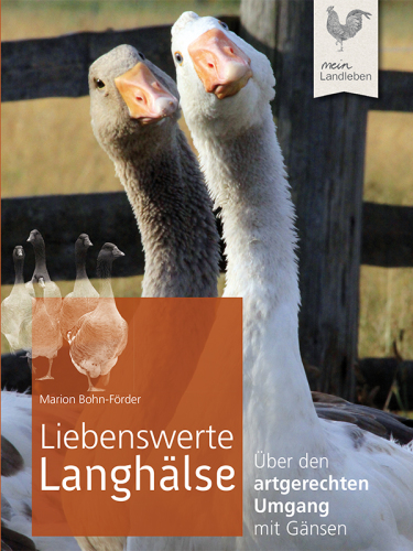 Liebenswerte Langhälse