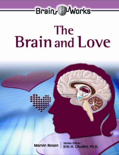 The Brain And Love