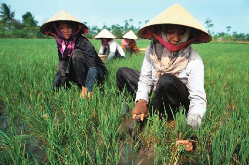 Molecular Genetic Analysis and Biotechnology