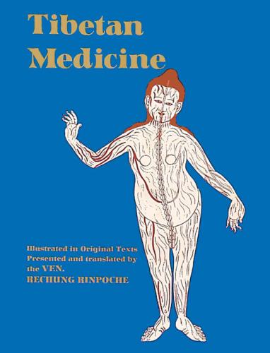 Tibetan Medicine: Illustrated in Original Texts