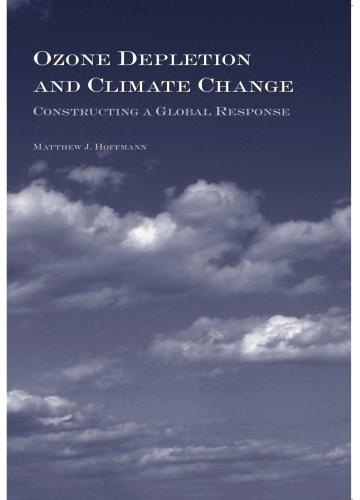Ozone Depletion And Climate Change: Constructing A Global Response