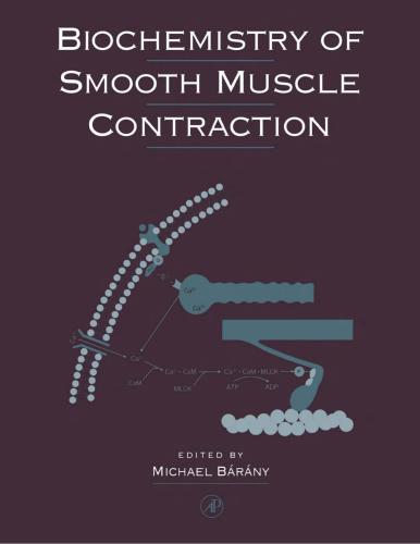 Biochemistry of Smooth Muscle Contraction