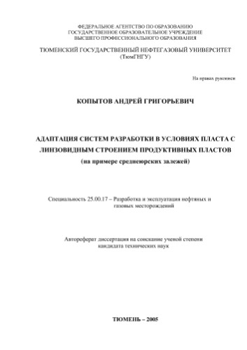Копытов А.Г. Адаптация систем разработки в условиях пласта с линзовидным строением продуктивных пластов