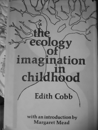 The Ecology of Imagination in Childhood