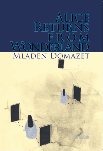 Alice Returns From Wonderland: Ontological Frameworks for Explanation from Contemporary Quantum Theories