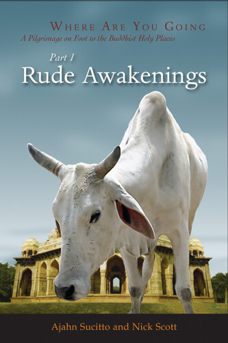 Where Are You Going, Part I - Rude Awakenings