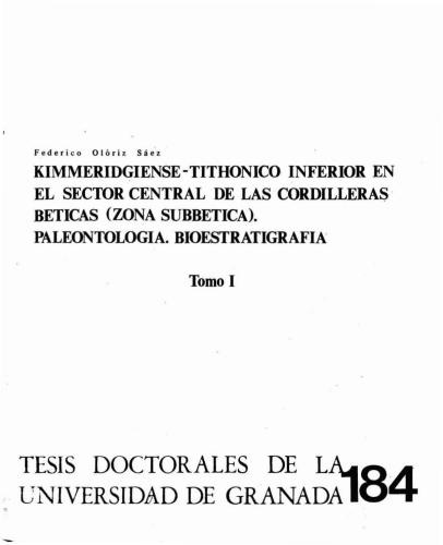 Kimmeridgiense-Tithonico inferior en el Sector central de las Cordilleras Béticas (Zona Subbética)