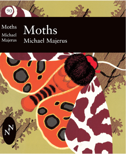 Moths