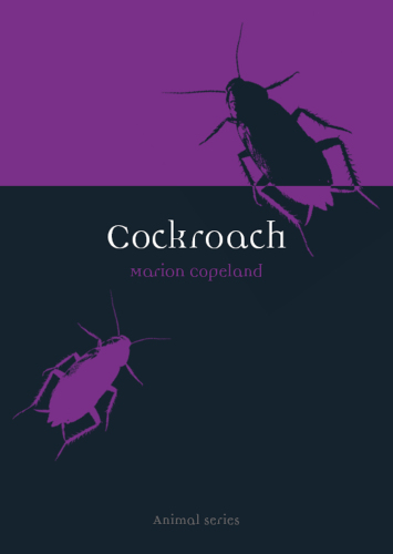 Cockroach