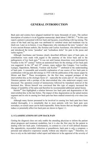 Coppes Discogenic Low Back Pain