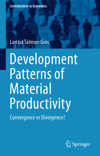 Development Patterns of Material Productivity: Convergence or Divergence?