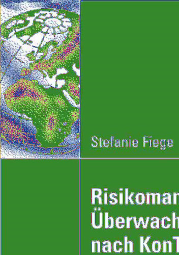 Risikomanagement- und Überwachungssystem nach KonTraG: Prozess, Instrumente, Träger