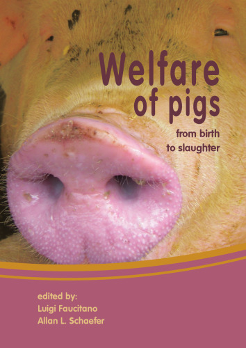 Welfare Of Pigs: From Birth to Slaughter