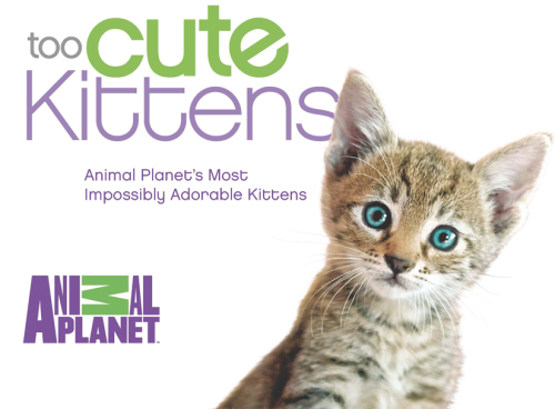 Too Cute Kittens: Animal Planet's Most Impossibly Adorable Kittens
