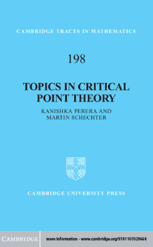 Topics in Critical Point Theory