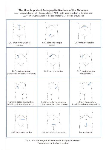 ULTRASOUND TEACHING MANUAL The Basics Of Performing And Interpreting Ultrasound Scan