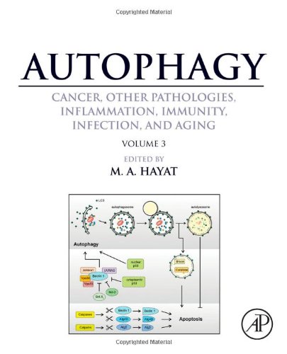Autophagy: Cancer, Other Pathologies, Inflammation, Immunity, Infection, and Aging. Volume 3 - Mitophagy