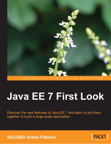 Java EE 7 First Look