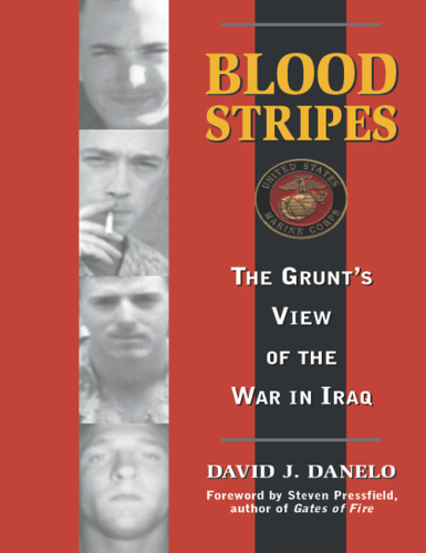 Blood Stripes: The Grunt's View of the War in Iraq